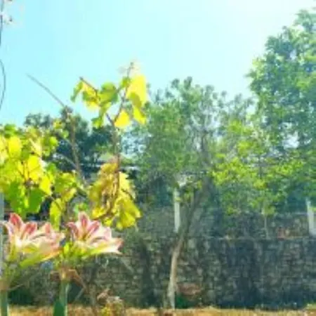 In - Albania Dream Holidays Guest house